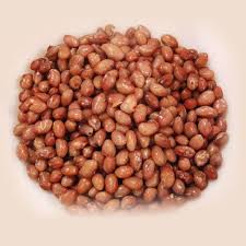 Plain Beans